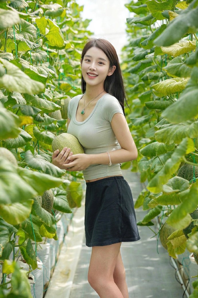 长相思 封面